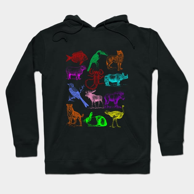 Wild animals Hoodie by cypryanus